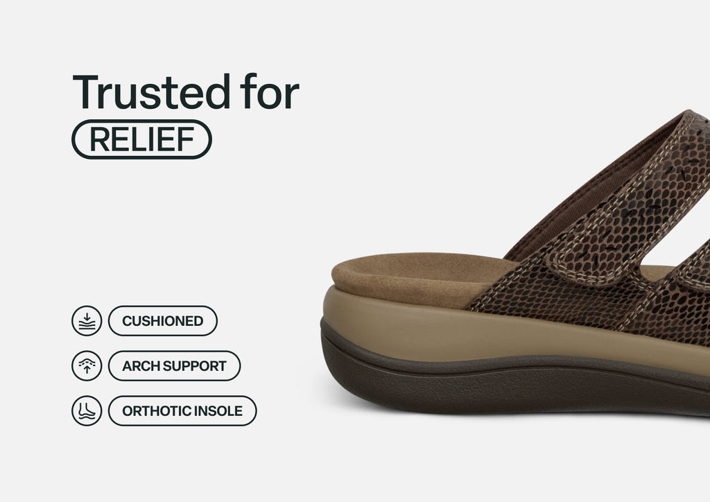 Sahara - Brown Snake