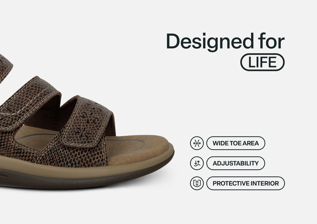 Sahara - Brown Snake