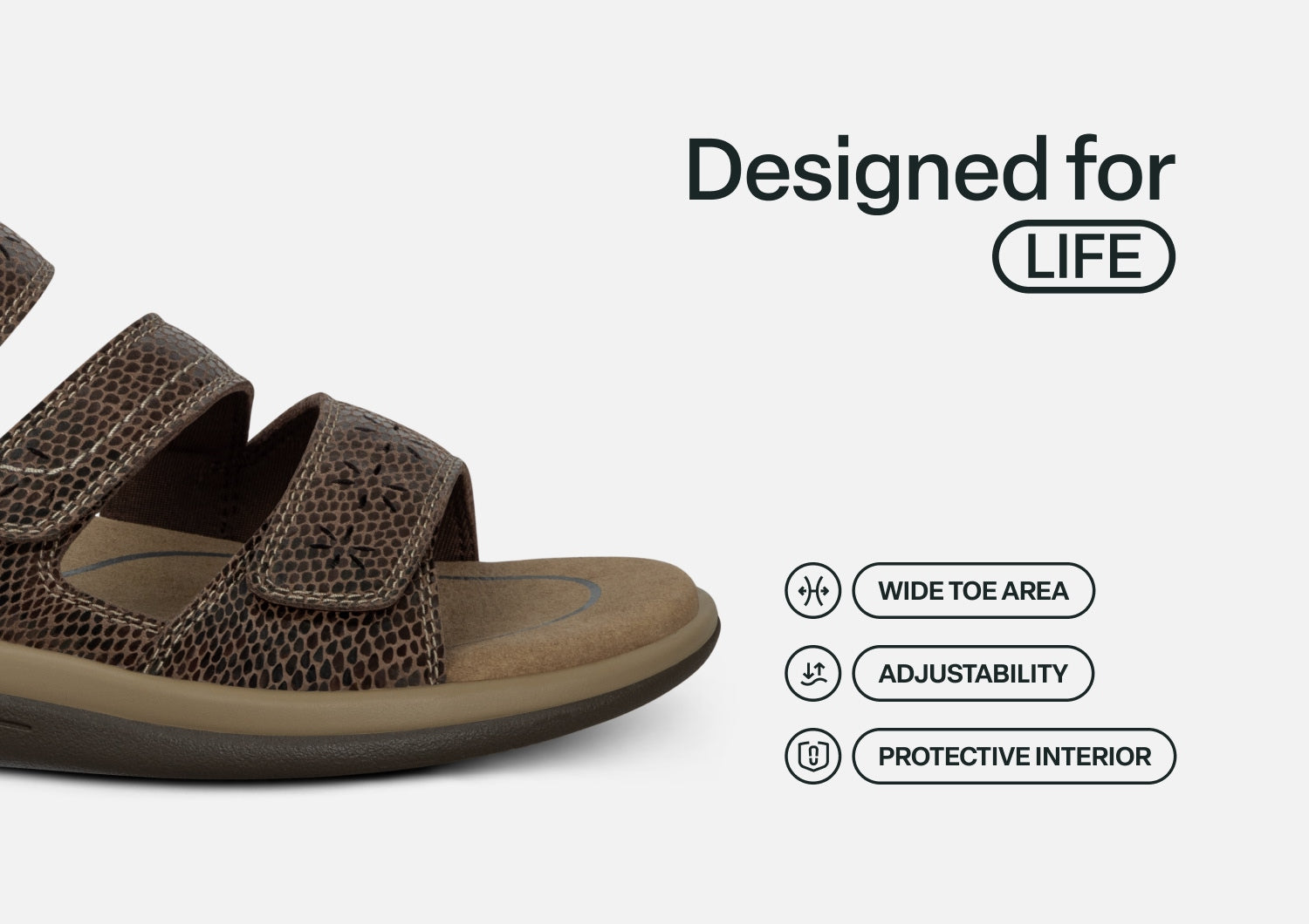 Sahara - Brown Snake