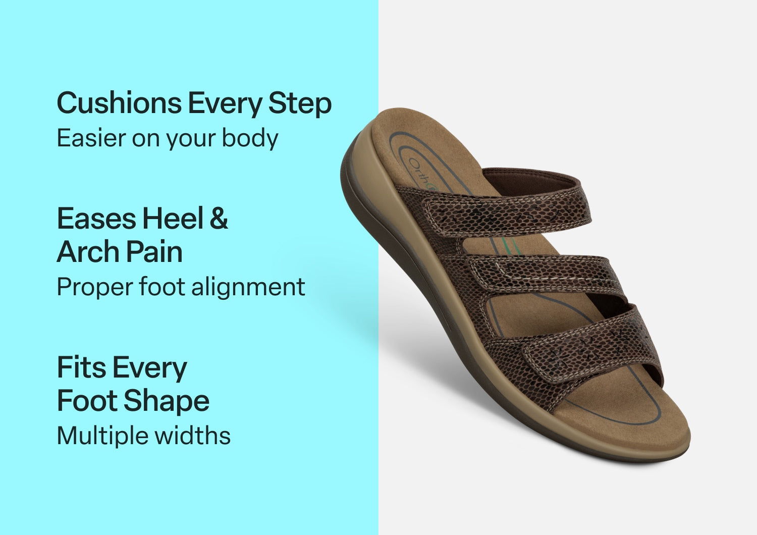 Sahara - Brown Snake