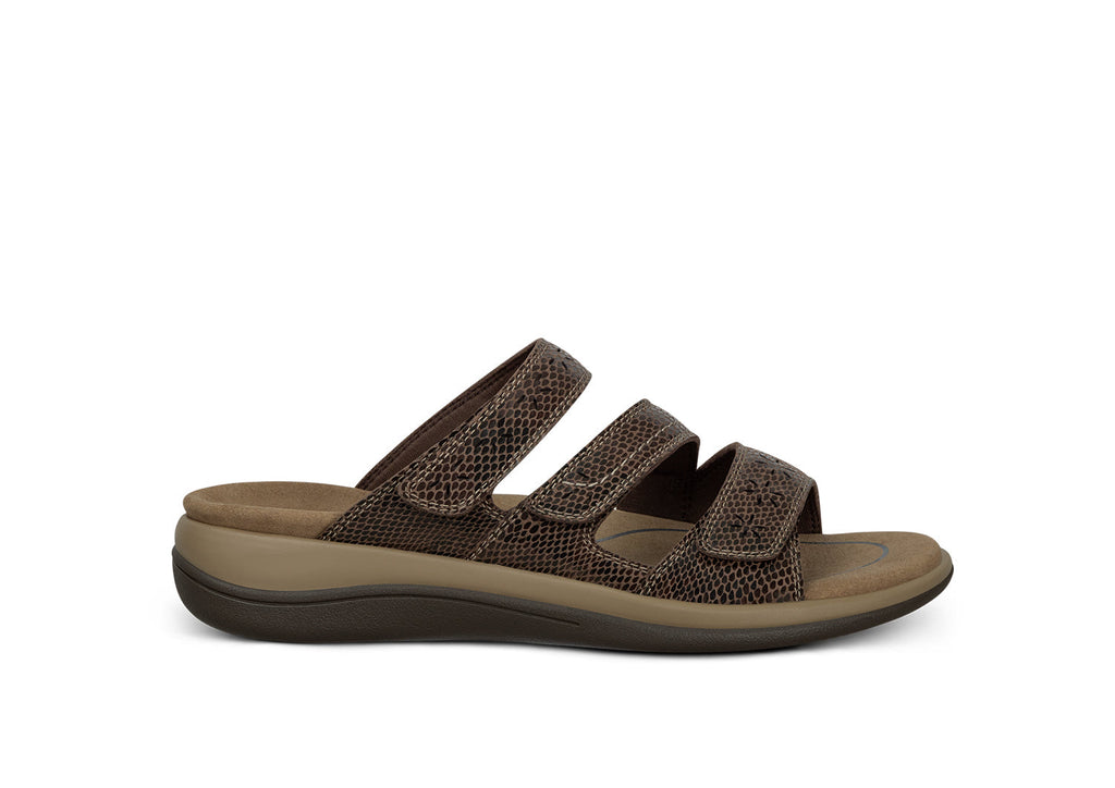 Sahara - Brown Snake